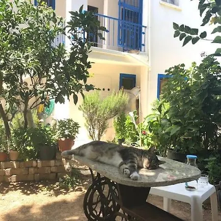 Oezalp Evleri ,datca Merkezde,deniz Manzarali Apartmán *