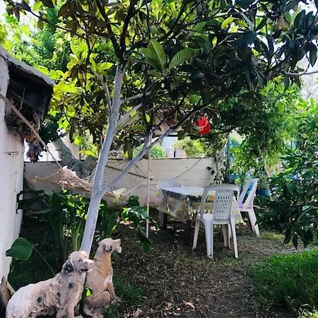 Apartmán Oezalp Evleri ,datca Merkezde,deniz Manzarali *