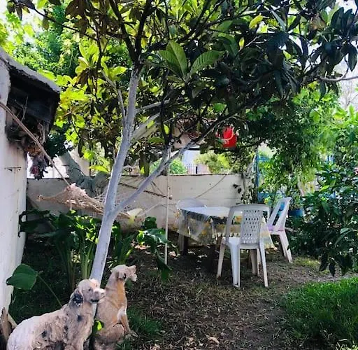 Appartement özalp Evleri ,datça Merkezde,deniz Manzaralı *